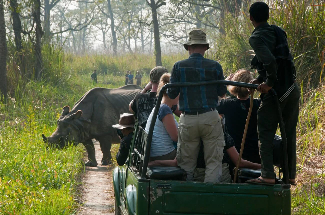 Chitwan National Park Safari