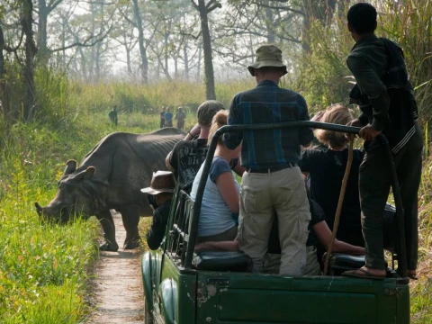 Chitwan National Park Safari